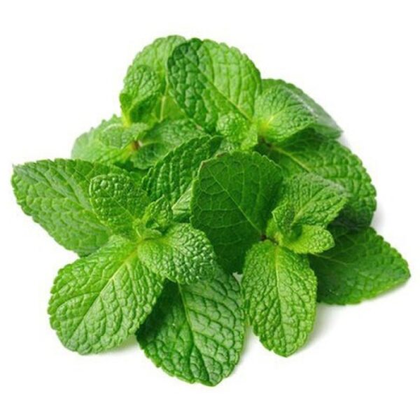 Fresh Mint (podina) 3 bundles