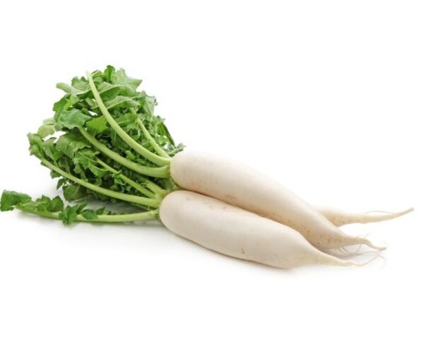 Radish / Mooli (white)