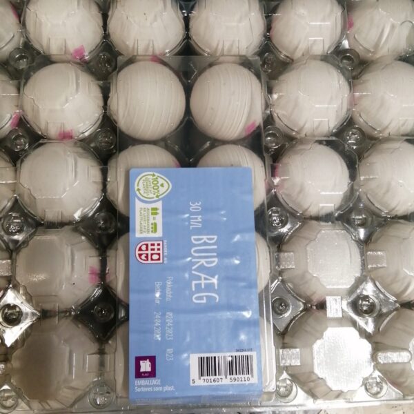 30 Eggs Tray